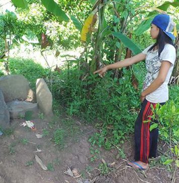Peti Misterius di Pekarangan Warga, Tidak Ada Yang Berani Buka balitoday